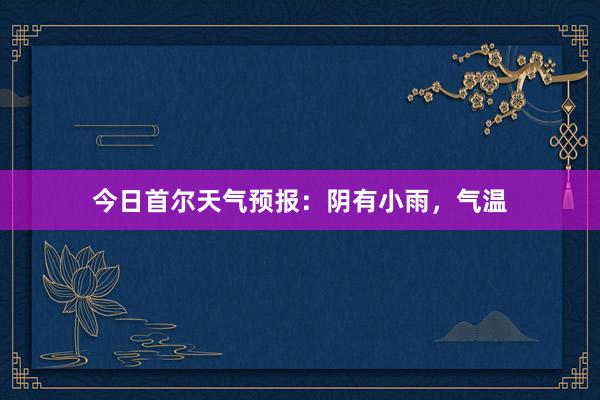 今日首尔天气预报：阴有小雨，气温